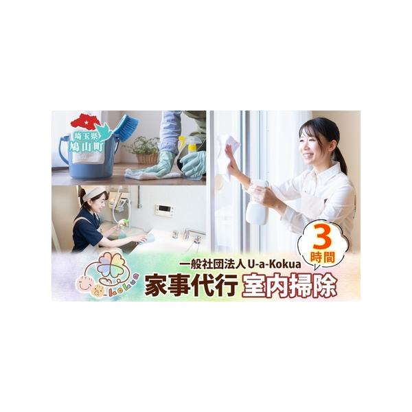 ふるさと納税 埼玉県 鳩山町 家事代行 室内掃除 3時間 お掃除 代行 サービス 室内清掃 床拭き 窓ふき 浴室 トイレ 水回り 支援 家事 支援 一般社.. 埼玉県鳩山町