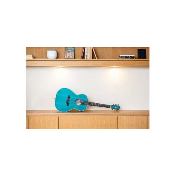 ■ 容量　1本　(ハードケース付き)■ 配送について　受付期日：通年　　発送期日：１〜２か月　タイプ：【常温】