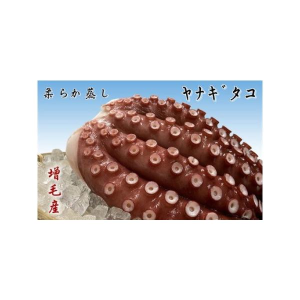 ふるさと納税 8-010-006　無添加蒸しやなぎたこ足4本 北海道増毛町