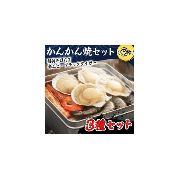 【ふるさと納税】ガンガン焼き カンカン焼き 海鮮 3種 セット 殻付き ホタテ 赤エビ ブラックタイガー 海鮮バーベキューセット BBQ 海鮮セット 約4－5人前 冷凍 | セット 食品 加工食品 人気 おすすめ 送料無料 父の日
