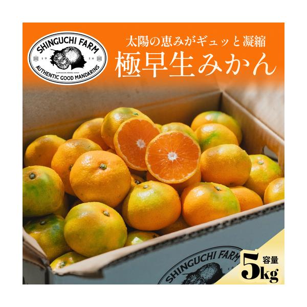 ふるさと納税 【小玉サイズ限定】五代目が厳選した極早生みかん5kg【愛媛県川上産】【C70-88】【1669130】 YWTK087 愛媛県八幡浜市