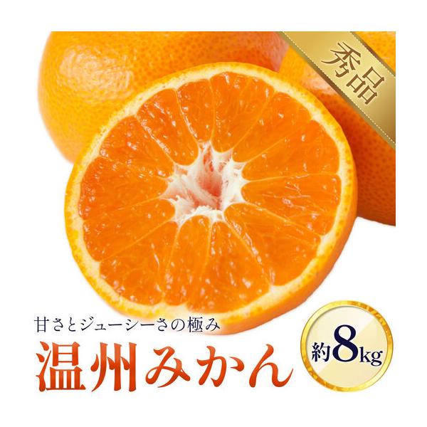 温州みかん 8kg 日本フルーツ株式会社 ミカン 熊本県長洲町 約8kg