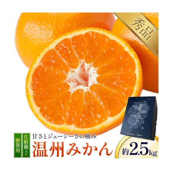 温州みかん 2.5kg 日本フルーツ株式会社 ミカン 熊本県長洲町 約2.5kg