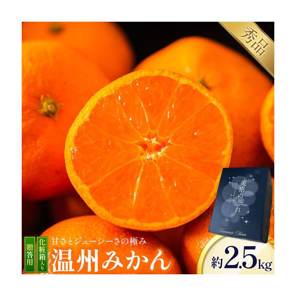 贈答用 温州みかん 約2.5kg 日本フルーツ株式会社 熊本県 荒尾市 《11月上旬-2月中旬頃出荷》