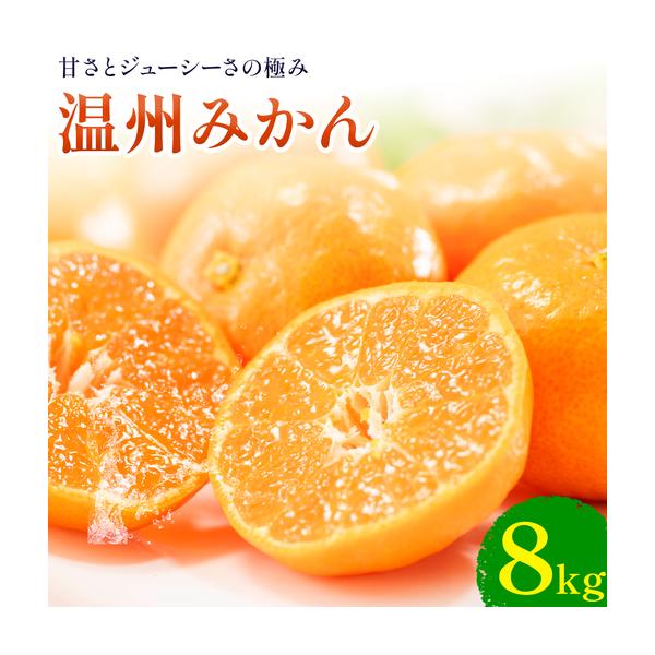 温州みかん 約8kg 日本フルーツ株式会社 熊本県 荒尾市 《10月中旬-2月中旬頃出荷》