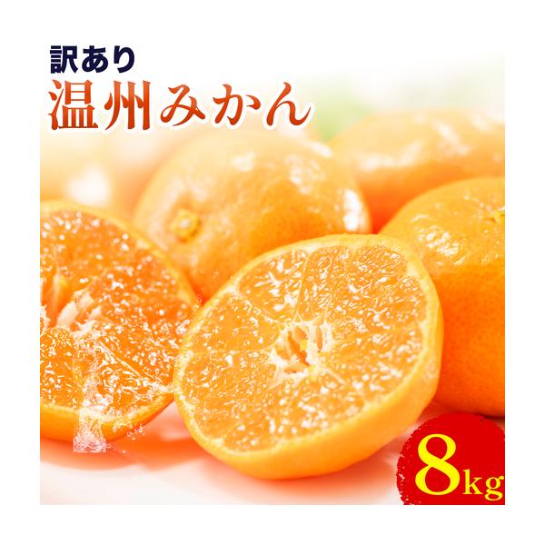 訳あり 温州みかん 約8kg 日本フルーツ株式会社 熊本県 荒尾市 《10月中旬-2月中旬頃出荷》