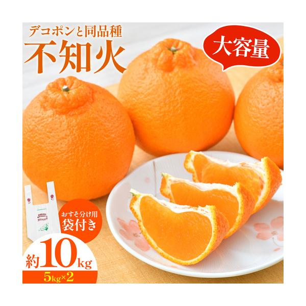 不知火 10kg 日本フルーツ株式会社 熊本県 荒尾市 《2月上旬-4月上旬頃出荷》 デコポン 果物 フルーツ スイーツ デザート ギフ.. 熊本県荒尾市 約5kg〜10kg