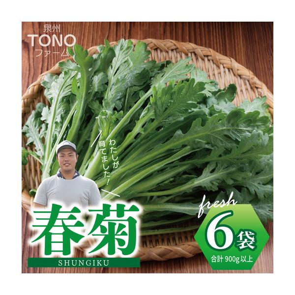 ふるさと納税 【先行予約】TONOファーム 春菊 6袋（合計900g以上） 大阪府泉佐野市