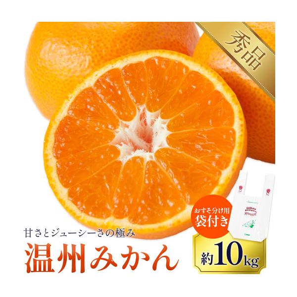 温州みかん 約10kg 日本フルーツ株式会社 ミカン 熊本県長洲町