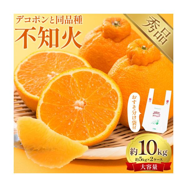 不知火 計10kg しらぬい 日本フルーツ株式会社 デコポン 熊本県長洲町 約5kg〜10kg