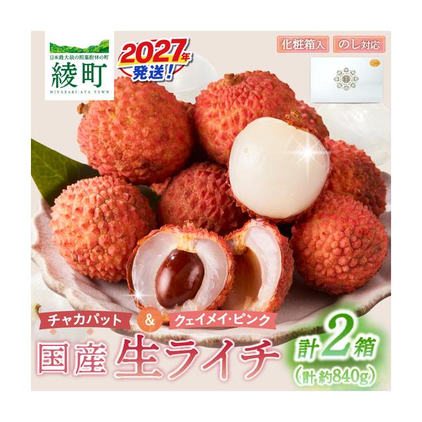ふるさと納税 先行予約 数量限定 希少 国産 綾 生ライチ 2箱セット 2種類（化粧箱入り）果物 フルーツ くだもの 国産ライチ 2027年 トロピカルフル.. 宮崎県綾町