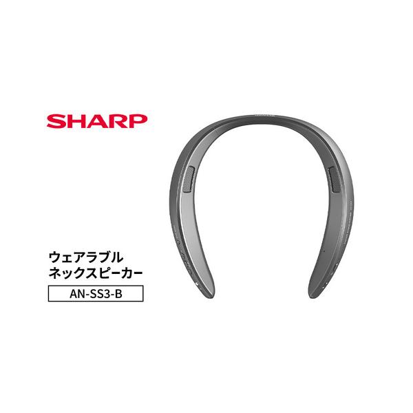ふるさと納税 テレビ シャープ SHARP 首掛けスピーカー テレビ 千葉県千葉市