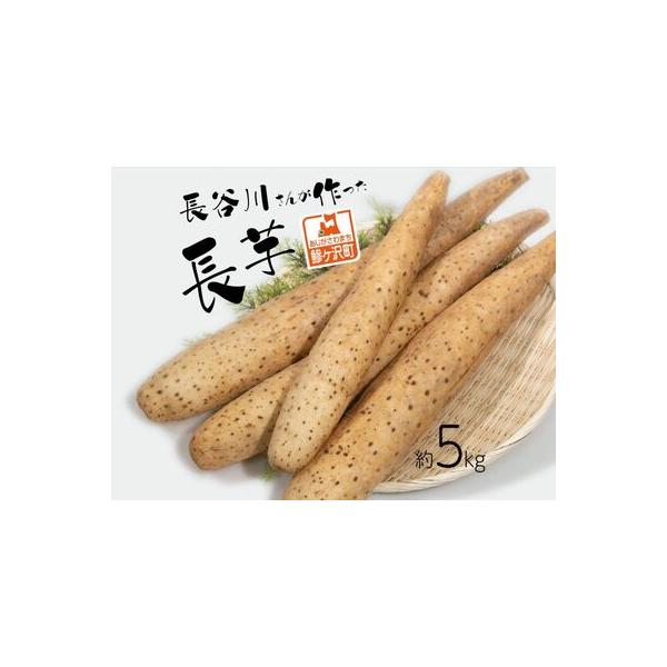 ■ 容量　長芋 約5kg　■ 配送について　毎年12月上旬〜翌年5月下旬の配送です。　　タイプ：【常温】