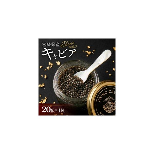 ふるさと納税 【ふるさと納税】キャビア 国産 20g 冷凍 宮崎県 えびの市産 宮崎県えびの市
