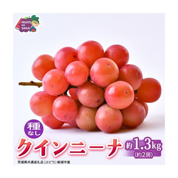 ふるさと納税 クインニーナ 約1.3kg（約2房） 【2026年8月より発送開始】（茨城県共通返礼品 [ぶどう]：結城市産） 茨城県つくばみらい市