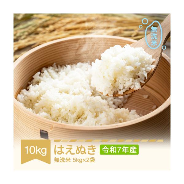 ふるさと納税 【スピード配送】令和7年産 はえぬき 無洗米 10kg tf-hamxa10 山形県村山市