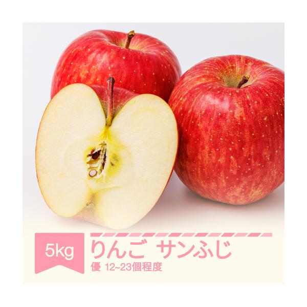 ふるさと納税 令和8年産 りんご サンふじ 優品 約5kg (12~23個程度) yi-risfy5000 山形県村山市