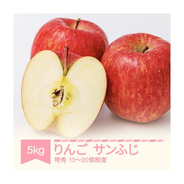 ふるさと納税 令和8年産 りんご サンふじ 特秀品 約5kg (13~20個程度) yi-risft5000 山形県村山市