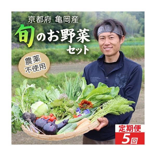 ふるさと納税 【5回定期便】お野菜セット かたもとオーガニックファーム 野菜 京都府亀岡市