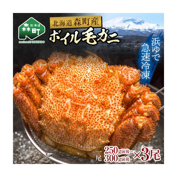 ふるさと納税 【訳あり】北海道・噴火湾産冷凍ボイル毛ガニ約250g前後〜約300g前後×3尾 毛ガニ 毛カニ 蟹 かに かにみそ 海産物 海鮮 森町 mr.. 北海道森町