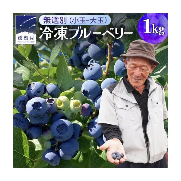 ふるさと納税 【 最短 7日以内 発送 】 冷凍 ブルーベリー 無選別（ 小玉 〜 大玉 ） 1kg 数量限定 国産 フルーツ スムージー 果物 くだもの 農.. 群馬県嬬恋村