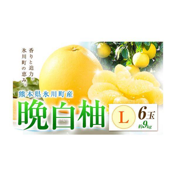 柑橘 晩白柚 L 6玉 9kg 日本フルーツ株式会社 熊本県氷川町 約9kg
