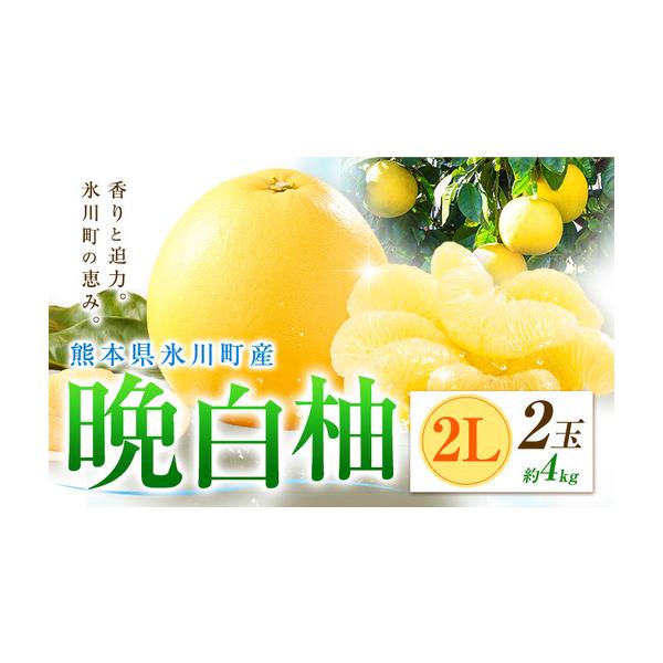 柑橘 晩白柚 2L 2玉 4kg 日本フルーツ株式会社 熊本県氷川町 約4kg