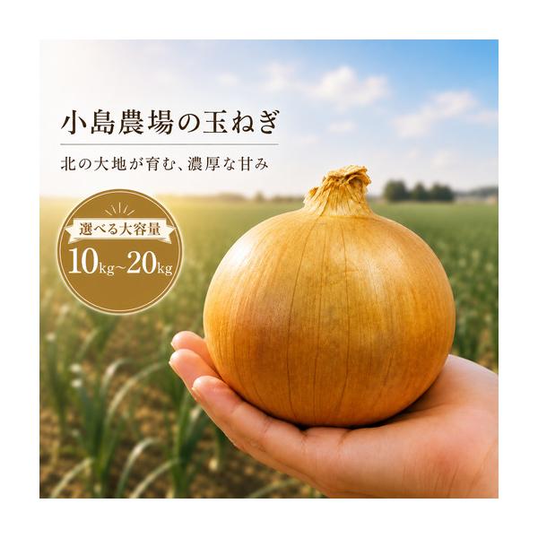 ふるさと納税 玉ねぎ 小島農場 10kg 美幌町産（2026年11月以降順次発送） AW005 | 玉ねぎ 北海道美幌町