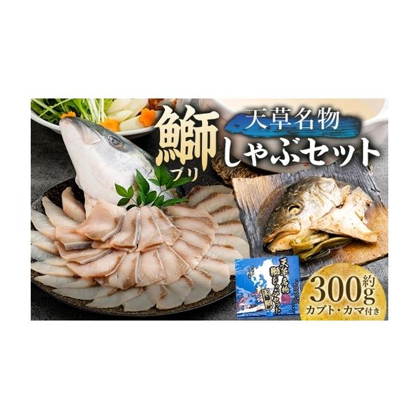 ふるさと納税 ＜ R8年熊本地震復興支援 ＞天草名物鰤しゃぶセット しゃぶしゃぶ ブリ 寒ブリ ぶり 鰤 ブリしゃぶ 煮付け 出汁 出汁昆布 昆布 カ.. 熊本県熊本市