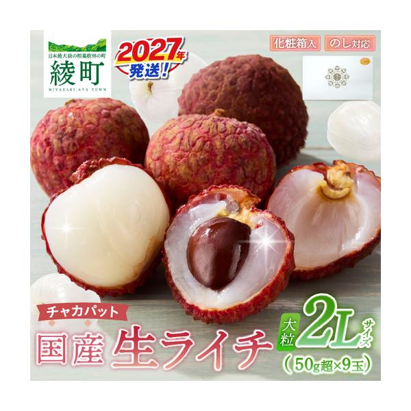 ふるさと納税 先行予約 数量限定 希少 国産 綾 生ライチ 大粒 2L サイズ（化粧箱入り）果物 フルーツ くだもの 国産ライチ 2027年 トロピカルフル.. 宮崎県綾町