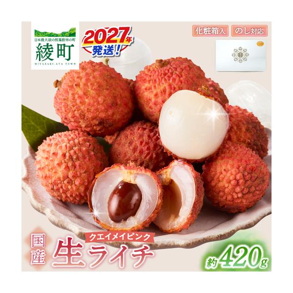 ふるさと納税 先行予約 数量限定 希少 国産 綾生ライチ「クエイメイピンク」化粧箱入り 果物 フルーツ くだもの 国産ライチ 2027年 トロピカル 南.. 宮崎県綾町