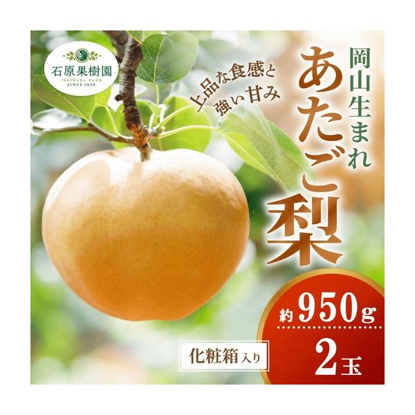 ふるさと納税 梨 あたご梨 約950g玉2玉 化粧贈答箱 岡山県産 愛宕梨【ishk007-01】 岡山県真庭市