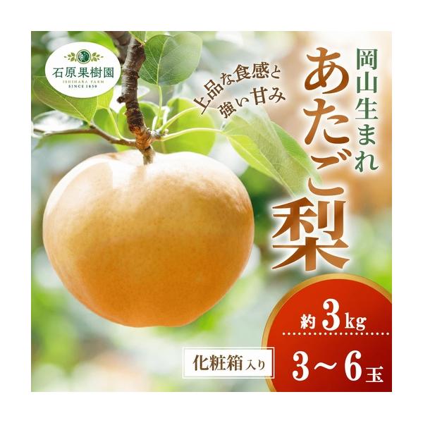 ふるさと納税 梨 あたご梨 3kg 3-6玉 化粧贈答箱 岡山県産 愛宕梨【ishk011-01】 岡山県真庭市