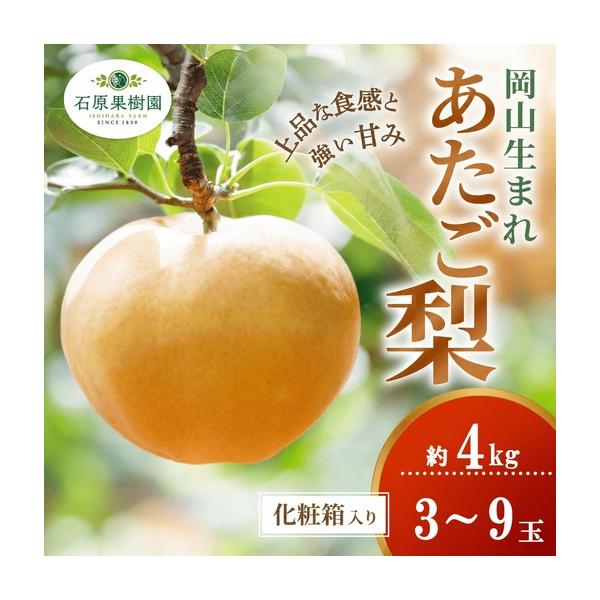 ふるさと納税 梨 あたご梨 4kg 3-9玉 化粧贈答箱 岡山県産 愛宕梨【ishk012-01】 岡山県真庭市