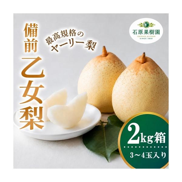 ふるさと納税 備前乙女梨 ヤーリー梨 2kg箱 赤秀 3〜4玉入り 岡山県産【ishk030-01】 岡山県真庭市