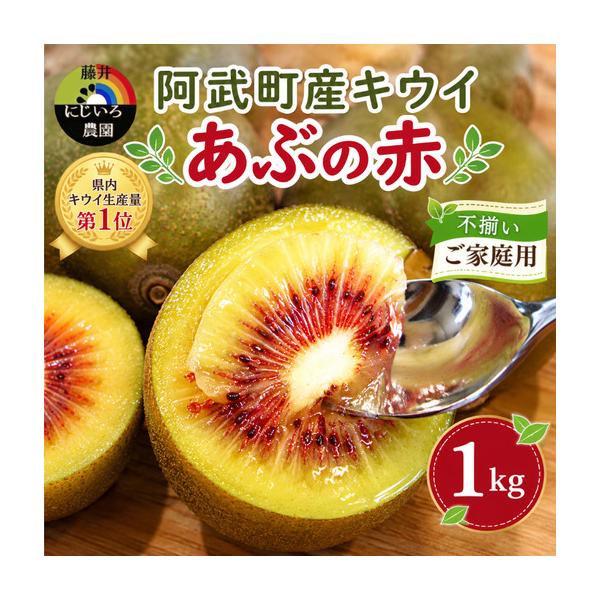 ふるさと納税 【先行予約】【家庭用】キウイ あぶの赤 1kg 山口県 阿武町産 数量限定 国産 果物 赤いキウイ《2026年10月下旬〜発送予定》 山口県阿武町