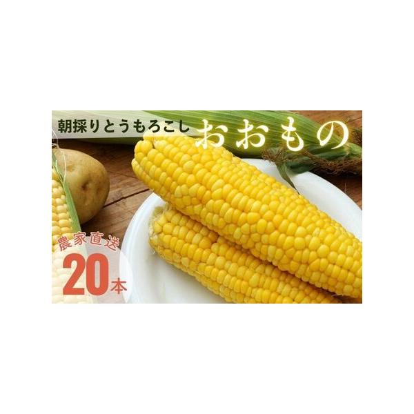 ■ 容量　北海道産とうもろこし おおもの 1箱（約20?23本）■ 配送について　【予約受付中】　2026年8月下旬以降順次発送　【ご確認ください】　※生鮮食品ですので、到着後はなるべく早めにお召し上がりください。　※天候の影響で収穫量・収...
