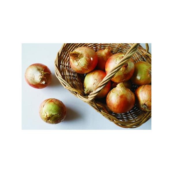 ■ 容量　ケルリッチオニオン島美人5kg（15〜20玉）■ 配送について　2026年7月下旬以降に発送開始します。　タイプ：【常温】