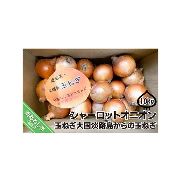 ■ 容量　玉ねぎ約10kg■ 配送について　準備でき次第、順次発送します。　タイプ：【常温】