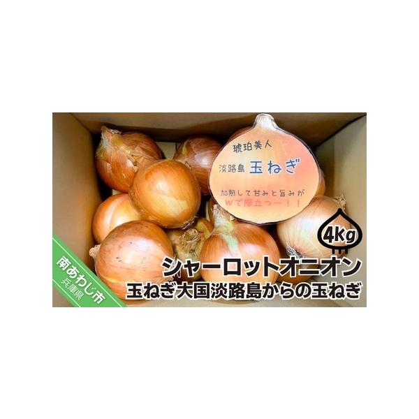 ■ 容量　玉ねぎ約４kg■ 配送について　準備でき次第、順次発送します。　タイプ：【常温】