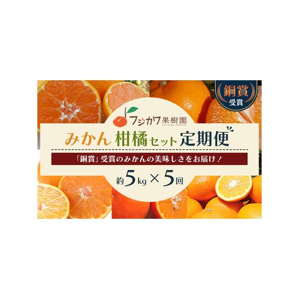 ふるさと納税 定期便 5回 みかん フジカワ果樹園オリジナル・新季節の柑橘セット 香川県観音寺市 :229207:ふるなび(ふるさと納税) - 通販 - Yahoo!ショッピング ふるさと納税 定期便 5回 みかん フジカワ果樹園オリジナル・新季節の柑橘セット 香川県観音寺市 :229207:ふるなび(ふるさと納税) - 通販 - Yahoo!ショッピング
