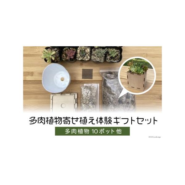 ■ 容量　木製鉢　多肉植物10ポット　専用土　他　木製鉢の組み立て・寄せ植えの仕方のしおり■ 配送について　決済確認から1ヶ月程度　※寄附申込がお盆・連休前後の場合や寄附申込が集中した場合は、お届けまでお待たせすることがございます。　タイプ...