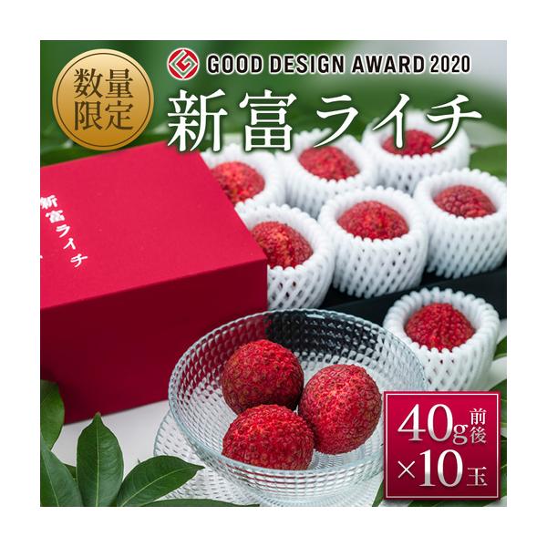 ふるさと納税 ［2027年発送］先行予約 希少！国産＜新富ライチ＞40g前後×10玉 国産 ブランド フルーツ 果物 贈答品【B120-27】 宮崎県新富町