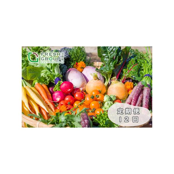 ■ 容量　厳選こだわり１２種詰め合わせセット　　　＊一例＊　　カラースティックニンジン/カラフルラディッシュミックス/　イタリアンパセリ/ルッコラセルバチコ/バジリコ-スイートバジル-/　フェンネルフィノッキオセルバチコ/スペアミント/ロー...
