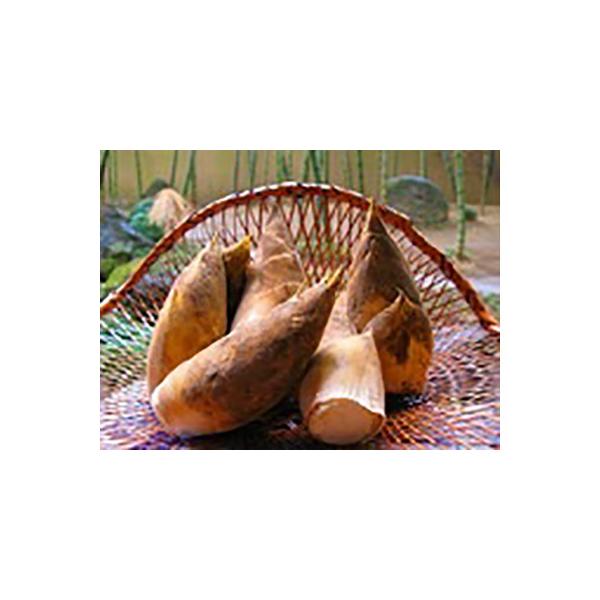 ■ 容量　4kg ・　糠200ｇ　:60セット■ 配送について　2025年4月上旬頃より順次お届け致します。 　タイプ：【常温】