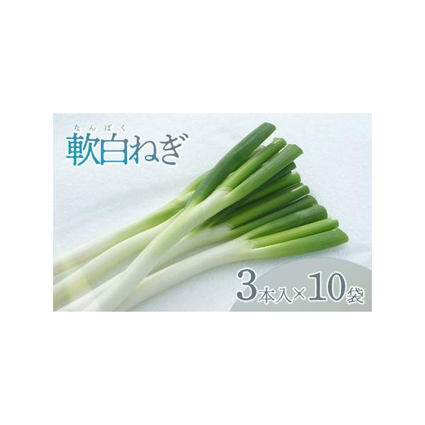 ■ 容量　軟白ねぎ 1箱（3本入り×10袋）　　【提供事業者】有限会社 鶴岡協同ファーム　【産地名】 山形県鶴岡市産　　【賞味(消費)期限】収穫から約1週間　※生鮮野菜ですので到着後早めにお召し上がりください。■ 配送について　【申込期日】...