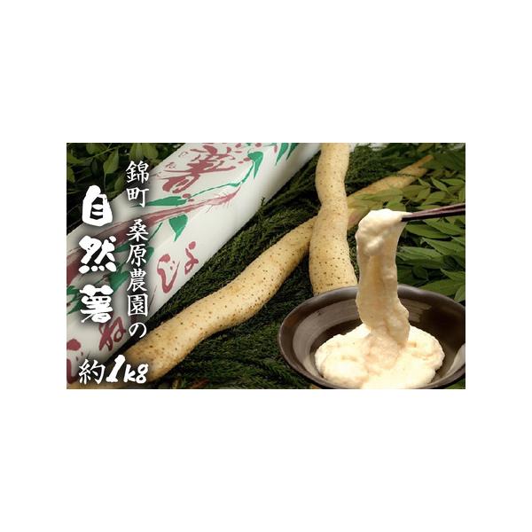 ■ 容量　自然薯 (1〜2本、約1kg)　■ 配送について　2025年11月下旬〜2026年7月下旬　　タイプ：【冷蔵】