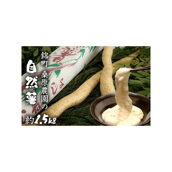 ■ 容量　自然薯 (1〜2本、約1.5kg)　■ 配送について　2025年11月下旬〜2026年7月下旬　　タイプ：【冷蔵】