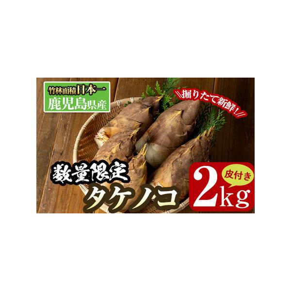 ■ 容量　皮付き約2kg　※皮付き2kgで、おおよそ3〜7個です。自然のものなので、時期によって大きさにばらつきが出ることがあります。　※皮付きタケノコは、1個あたり約200g〜800gのものをお届けします。1箱の中でも、ひとつひとつの重さ...