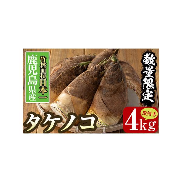 ■ 容量　皮付き約4kg　※皮付き4kgで、おおよそ6〜15個です。自然のものなので、時期によって大きさにばらつきが出ることがあります。　※皮付きタケノコは、1個あたり約300g〜1.2kgのものをお届けします。1箱の中でも、ひとつひとつの...